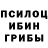 Псилоцибиновые грибы мухоморы Jehro Nascimento