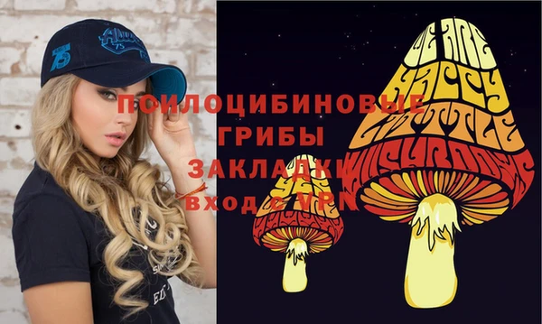 прущие крисы Алзамай