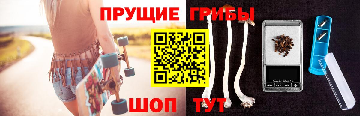 Псилоцибиновые грибы MAGIC MUSHROOMS  Вход с VPN  Подольск 