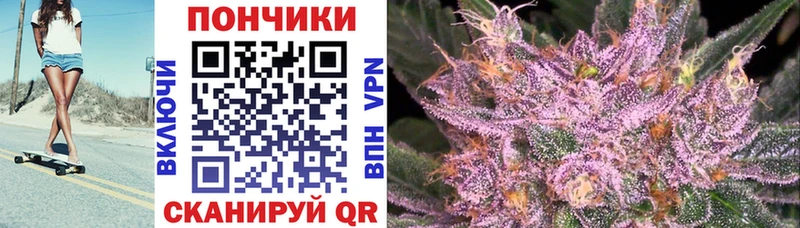 Каннабис индика  Подольск 